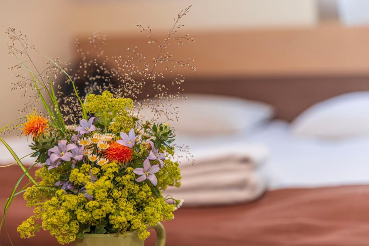 Hotel Gradiali Anykščiai Exteriér fotografie